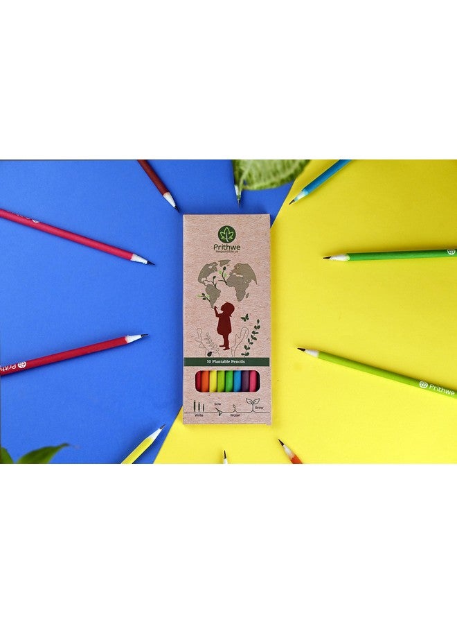 Prithwe Ecofriendly Recycled Plantable Seed Pencils (Black Lead) - Image 3