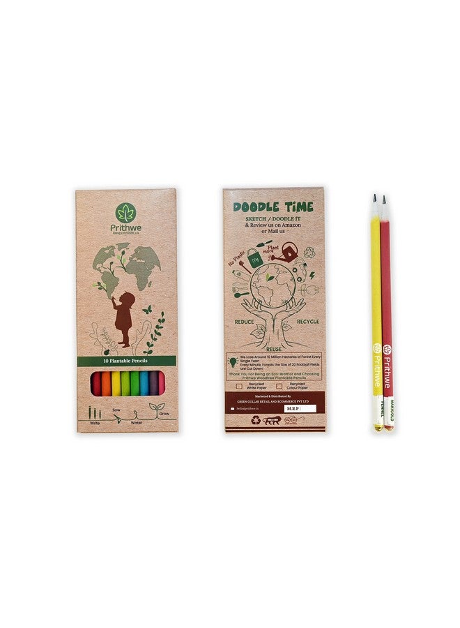 Prithwe Ecofriendly Recycled Plantable Seed Pencils (Black Lead) - Image 5