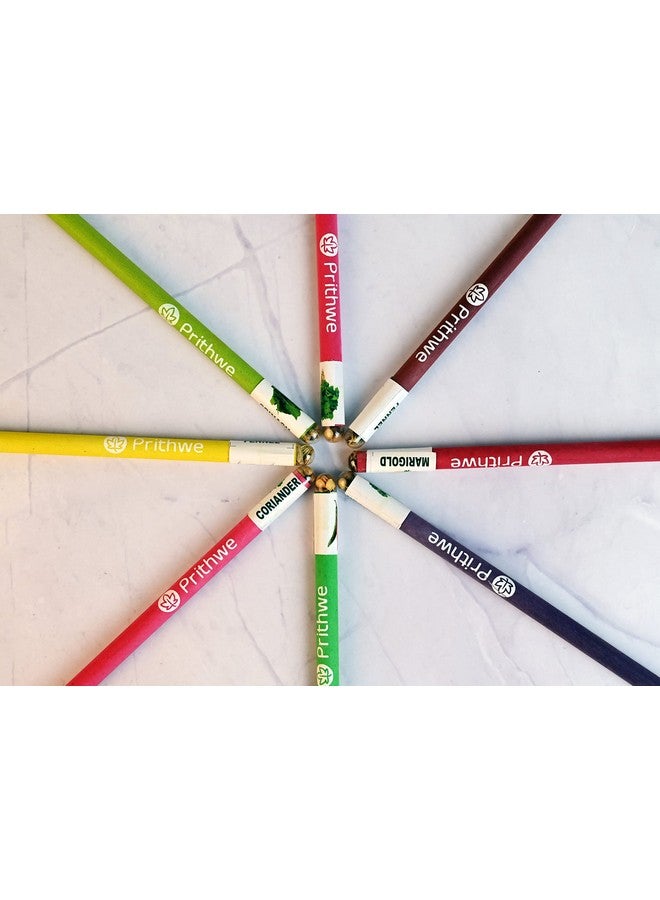 Prithwe Ecofriendly Recycled Plantable Seed Pencils (Black Lead) - Image 2