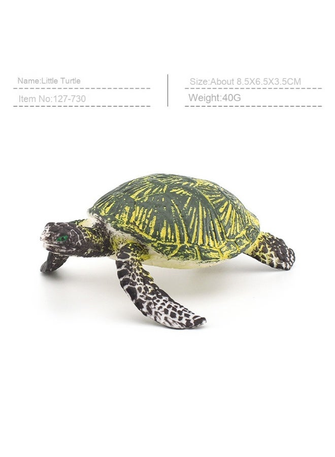 نيبمينينت نماذج حيوانات المحيطات الواقعية