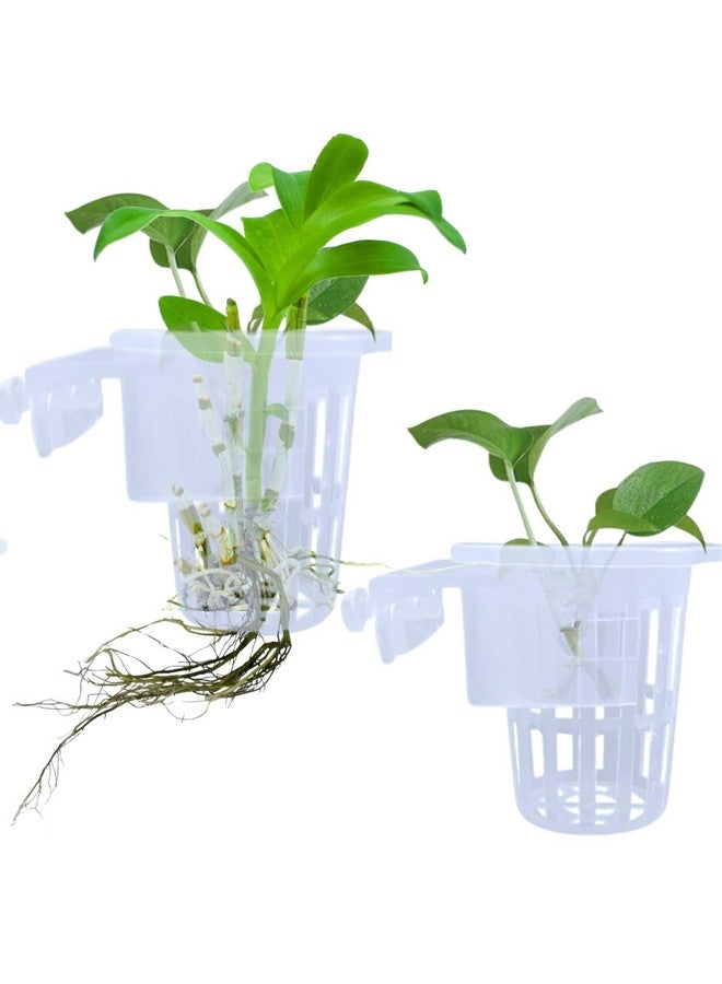 VAYINATO® 2 Pcs White Hanging (Cup Type) Water Plant Holder Pot for Aquarium Fish Tank, Aquaponic Plant Growing Landscape Plants Aquascape Decoration Water Plants by Petzlifeworld - Image 1