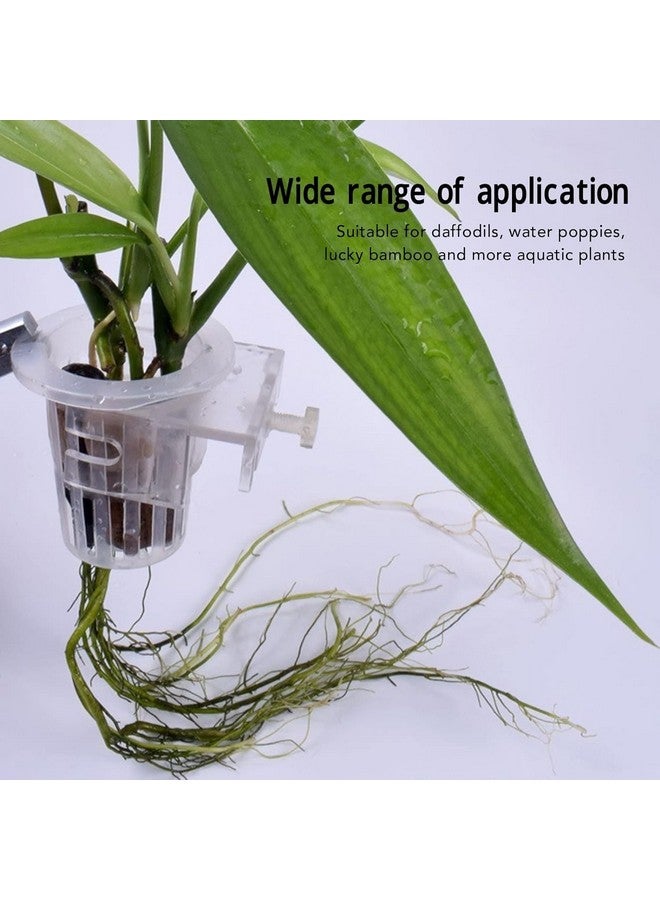 VAYINATO® 2 Pcs White Hanging (Cup Type) Water Plant Holder Pot for Aquarium Fish Tank, Aquaponic Plant Growing Landscape Plants Aquascape Decoration Water Plants by Petzlifeworld - Image 3