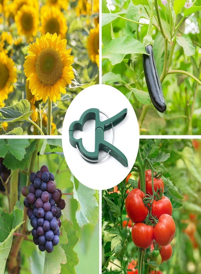 أي أي تي مشابك تثبيت النباتات والزهور لدعم السيقان - Image 4