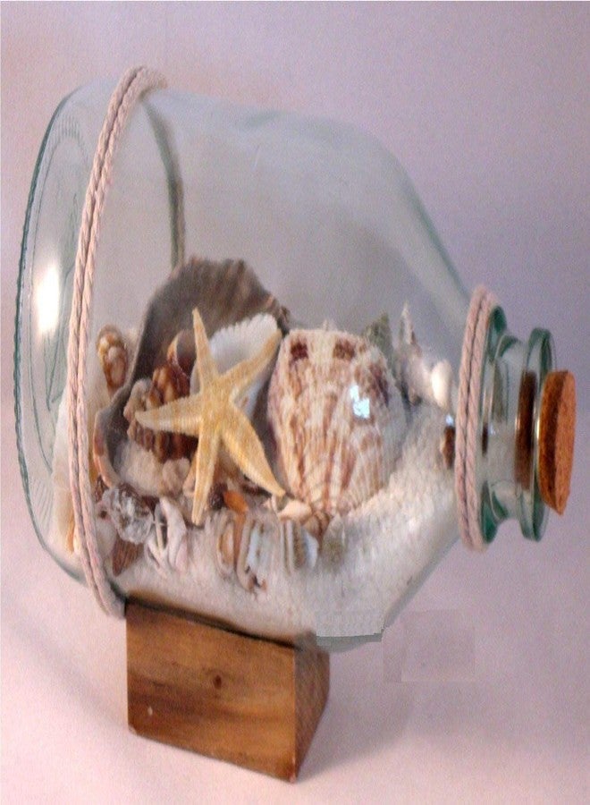 Real Shells and Sand in Bottle - Bring The Beach Inside 6" x 3.5"