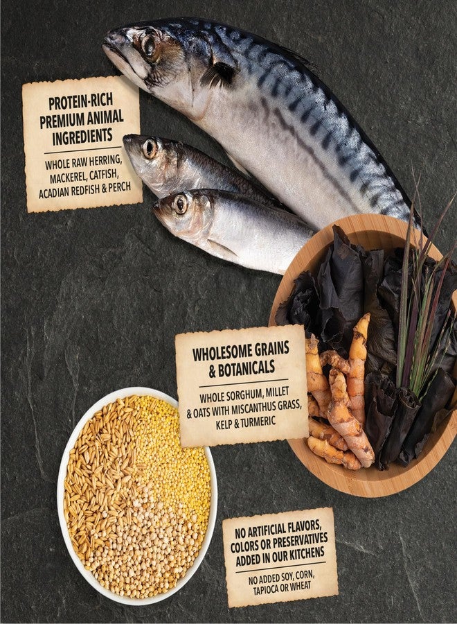 (أسنى) طعام الكلاب الجاف ACANA بالحبوب الكاملة، وصفة سمك المياه المالحة من البحر إلى النهر، عبوة 4 أرطال - Image 4