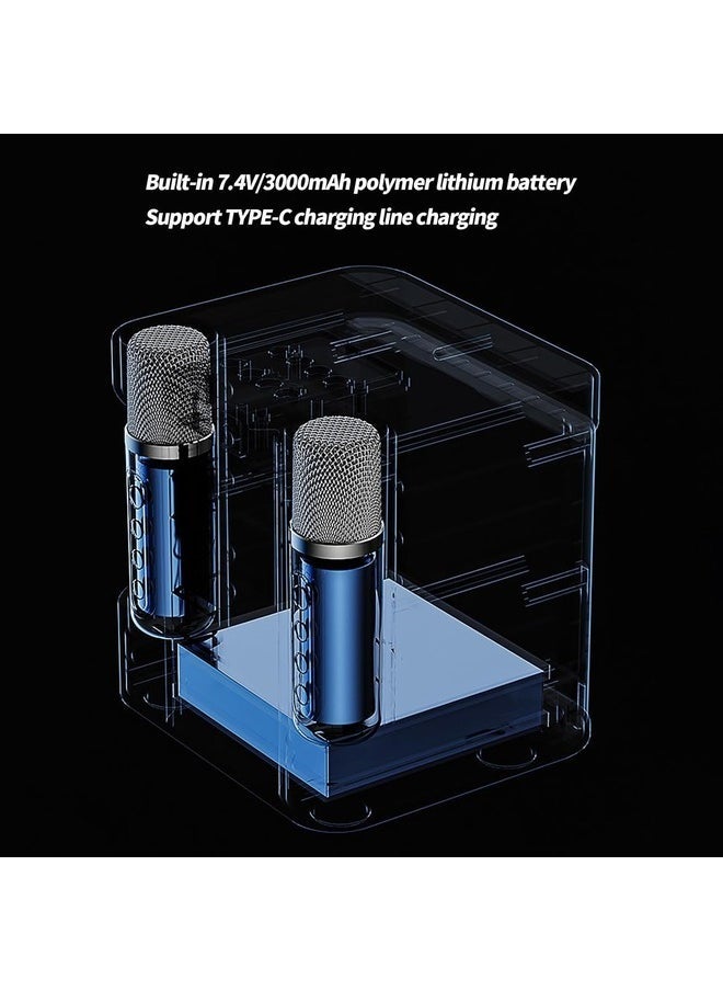 ELTRAZONE YS 203 Portable Wireless Bluetooth Karaoke Speaker with Stereo Bass and Dual Microphones – Black  - Image 4