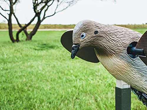 Mojo Outdoors Voodoo Dove Decoy - Motion Dove Decoy for Hunting, Multicolor - Image 3
