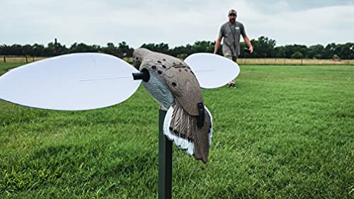 Mojo Outdoors Voodoo Dove Decoy - Motion Dove Decoy for Hunting, Multicolor - Image 2