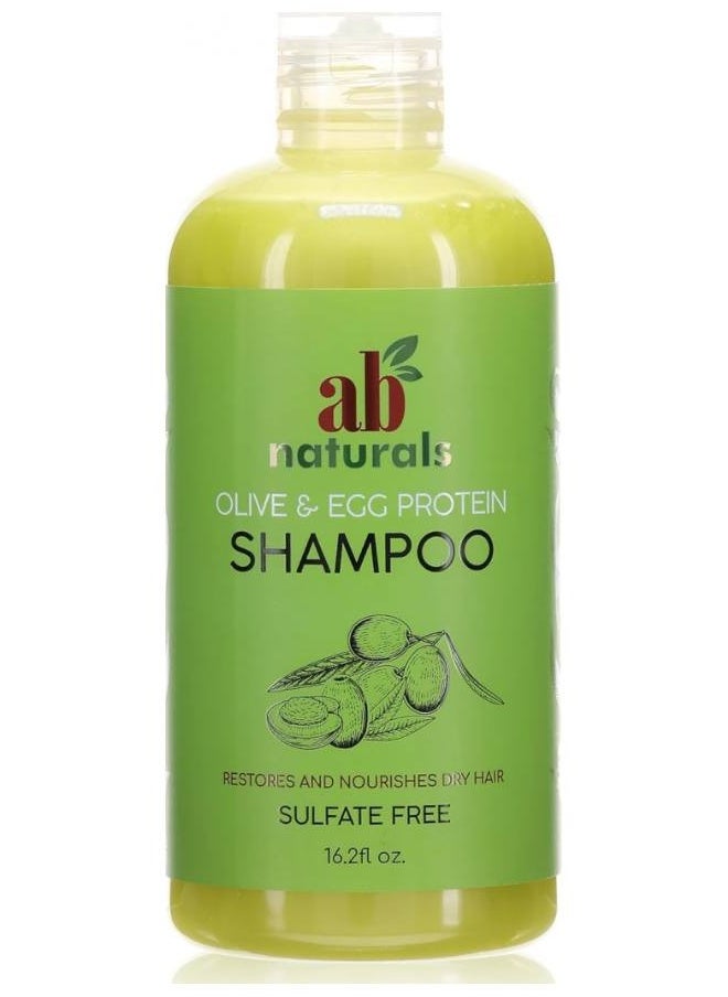 Olive Egg Protein Shampoo Sulfate Free 16oz - pzsku/Z0035AB114750D5EBF18DZ/45/_/1717836132/2ae0949b-d471-4510-a032-79db4ffcc76b