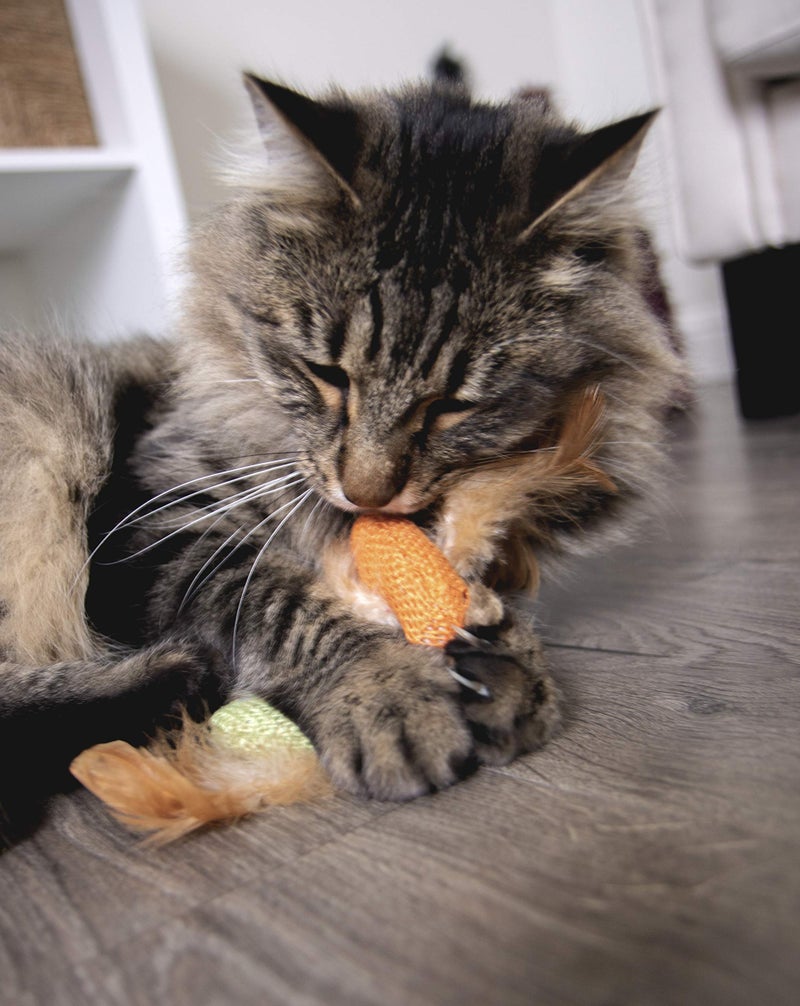 Petlinks (2 Count) HappyNip Love Birds Cat Toys, Contains Silvervine & Catnip - Multi Color, 2 Count - Image 3