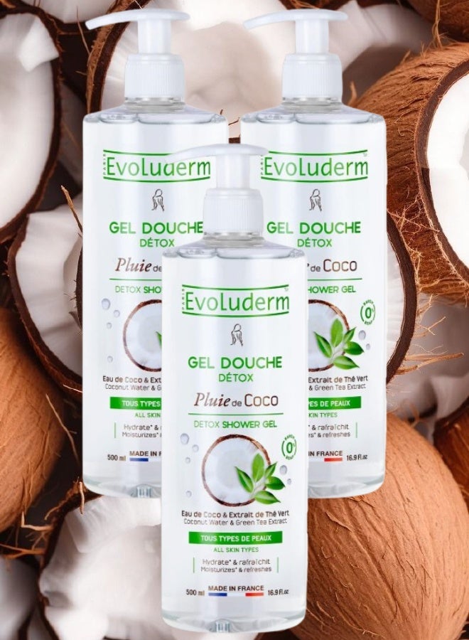 إيفو لوديرم 3 قطع جل الاستحمام إيفولوديرم بلوي دي كوكو ديتوكس 500مل - Image 1