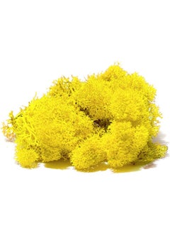 Jordania Moss Yellow 