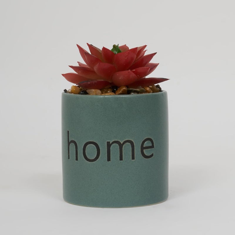Home Centre Home Centre Garnet Garden Artificial Succulent Ceramic Planter  - Image 3
