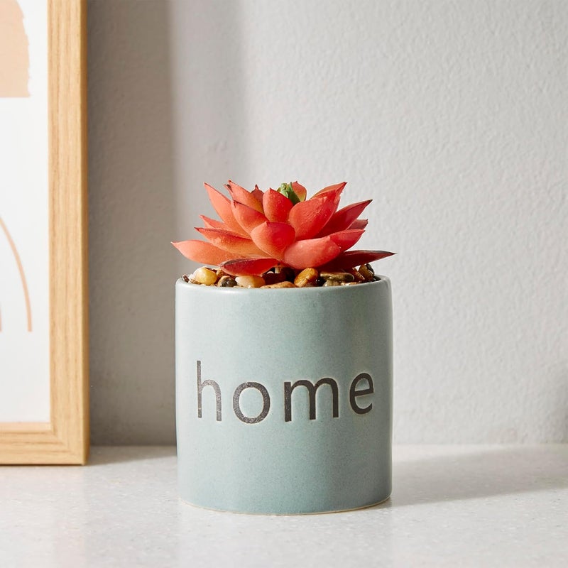 Home Centre Home Centre Garnet Garden Artificial Succulent Ceramic Planter  - Image 1