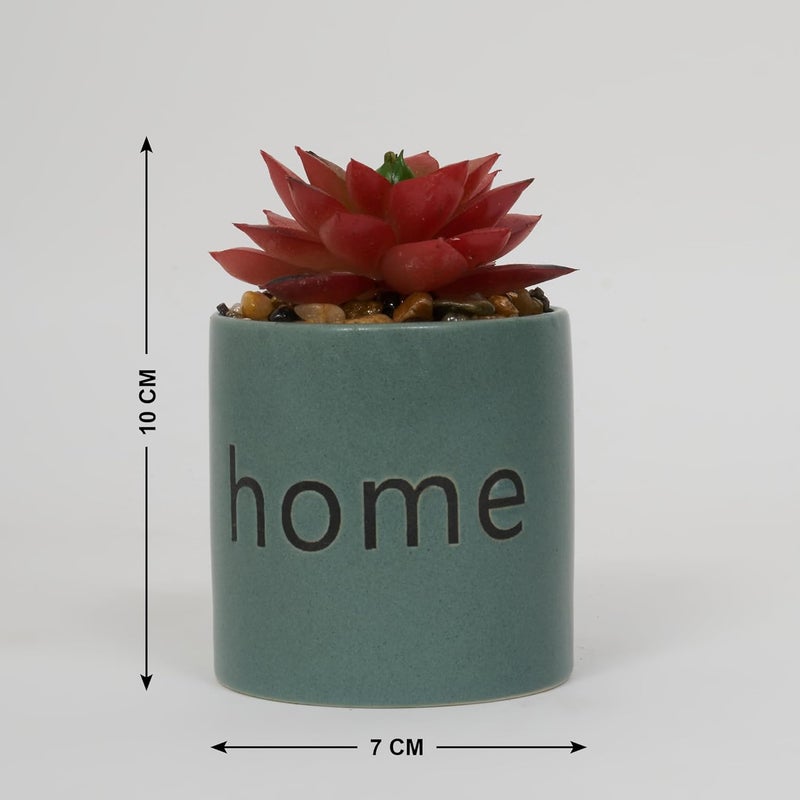 Home Centre Home Centre Garnet Garden Artificial Succulent Ceramic Planter  - Image 4