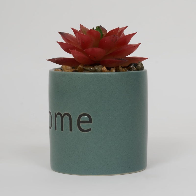 Home Centre Home Centre Garnet Garden Artificial Succulent Ceramic Planter  - Image 5