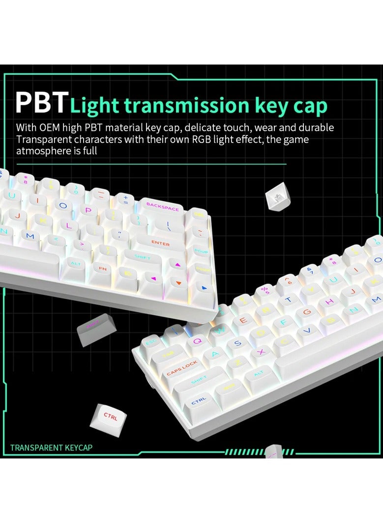 UCHUANG M68 RGB 60% Wired Magnetic Switch Mechanical Gaming Keyboard with Rapid Trigger Mode, 8K Polling Rate, PBT Light Transmission Keycap, 16 Million Colors RGB Lighting, for PC/Mac Gamer, White  - Image 2