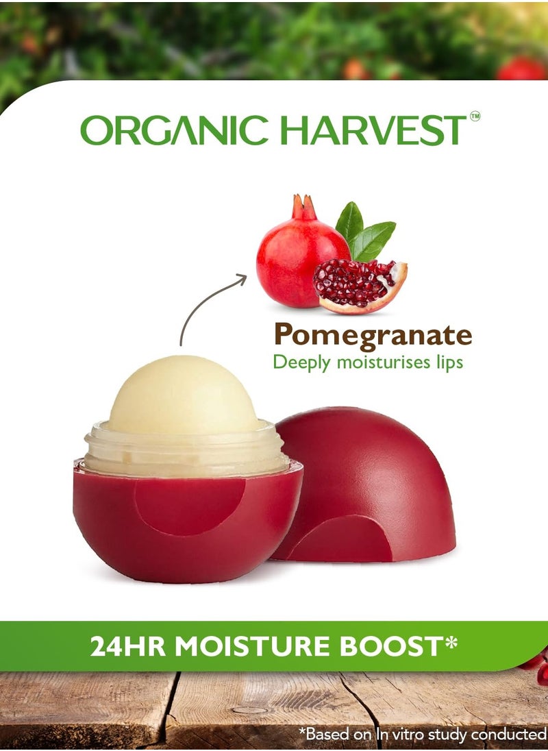 Organic Harvest - Organic Harvest Moisturizing Lip Balm: Pomegranate | Lip Care for Dry & Chapped Lips, 100% American Certified Organic, Paraben & Sulphate Free For... - Image 1