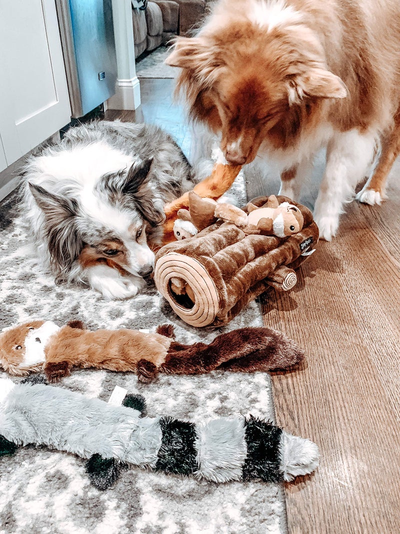 ZippyPaws Skinny Peltz - No Stuffing Dog Toy Pack to Keep Them Busy, for Medium and Large Dogs, Squeaky Pet Toys, Unstuffed Chew Toys, Soft Plush Variety Pack, Fox, Raccoon, and Squirrel - 18" - Image 2
