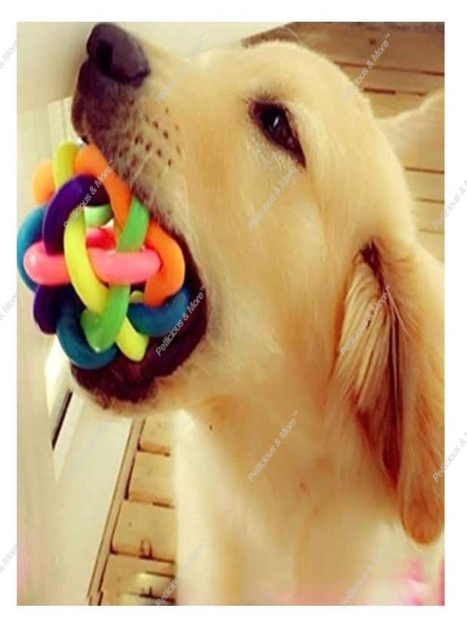 PETLICIOUS & MORE لعبة بيتليشوس آند مور للجراء على شكل قنفذ، لعبة مضغ وصوت، لعبة تفاعلية للكلاب، لعبة تسنين للجراء، كرة للجراء، كرة قوس قزح، كرة للكلاب (قد يختلف اللون) - عبوة من قطعتين - Image 4