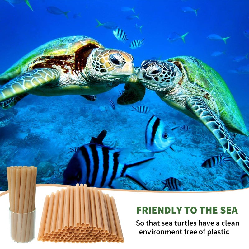 SHAUMN 0.47" Wide Biodegradable Sugarcane Straws 100pcs Smoothie Straws Disposable Compostable Eco-Friendly Jumbo Straws for Milksake Bubble Tea 8.5" Disposable Boba Straws Not Soggy - Image 5