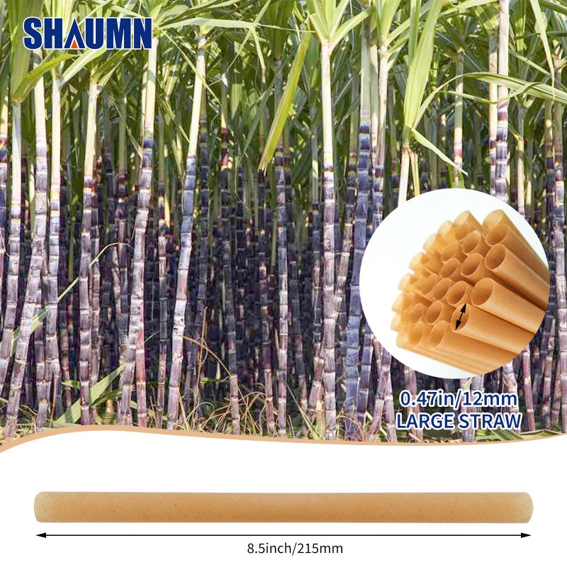 SHAUMN 0.47" Wide Biodegradable Sugarcane Straws 100pcs Smoothie Straws Disposable Compostable Eco-Friendly Jumbo Straws for Milksake Bubble Tea 8.5" Disposable Boba Straws Not Soggy - Image 2