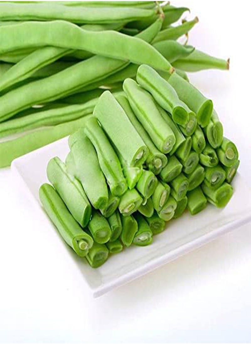 GGOOT - Tendergreen Green Bean Seeds, Pole Bean Organic Non-GMO, Open Pollinated Vegetable 20 Seeds ~ High-yielding!!! No Need Trellis!! - Image 1