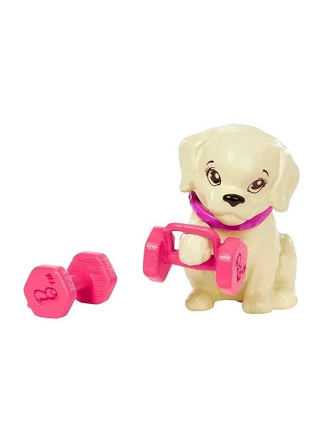 باربي Barbie Wellness Doll  Workout