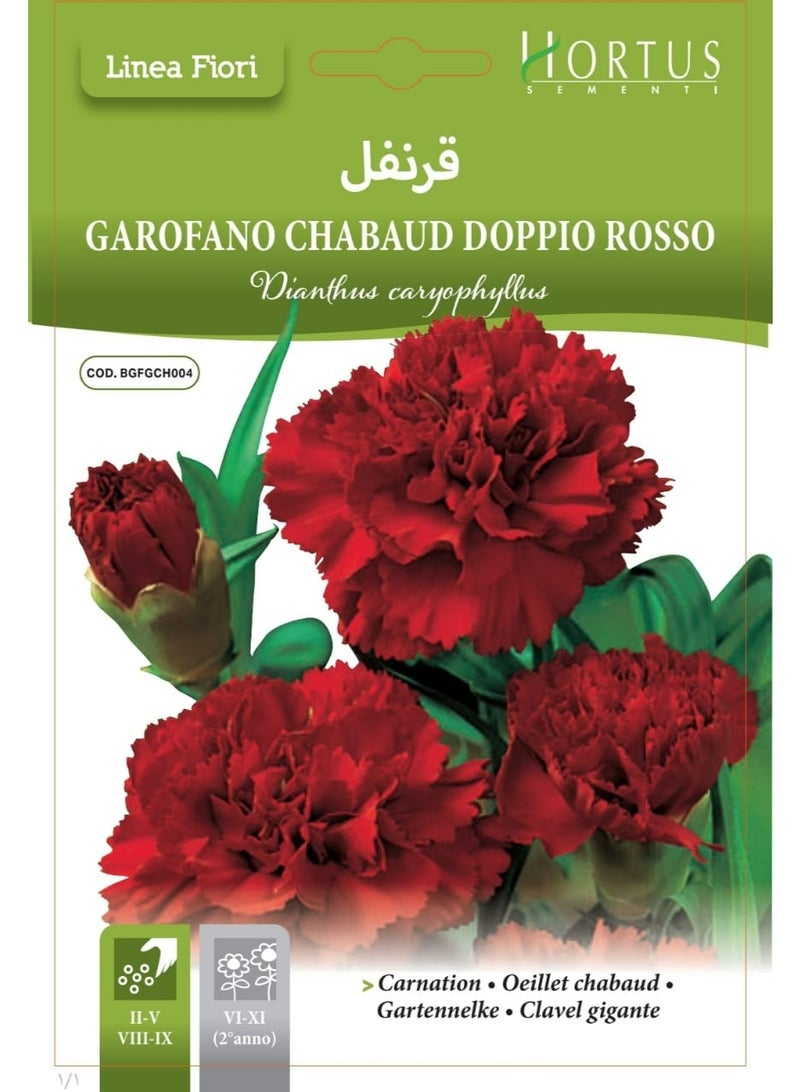 Carnation Seeds