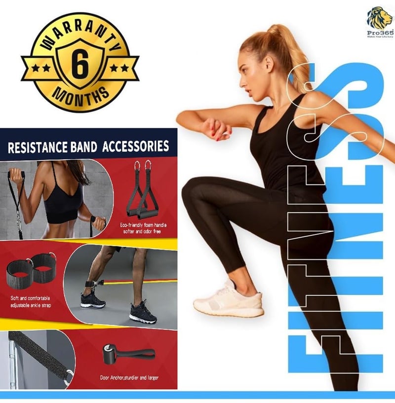 PRO365 11 in 1 Resistance Band Kit for Home Exercises, Stretching, Toning Tube Kit with Foam Handles, Door Anchor (Ankle Strap, Carrying Bag, Exercise Manual Included) - Image 2