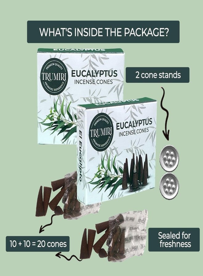 TRUMIRI Eucalyptus Incense Cones - Total 20 Cone Incense - Dual Pack of 10 Insence Cones - Incense Cones Scented - Cone Incense Scents - Insense Cones - Incent Cone - Image 2