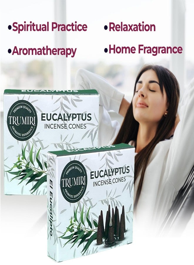TRUMIRI Eucalyptus Incense Cones - Total 20 Cone Incense - Dual Pack of 10 Insence Cones - Incense Cones Scented - Cone Incense Scents - Insense Cones - Incent Cone - Image 3