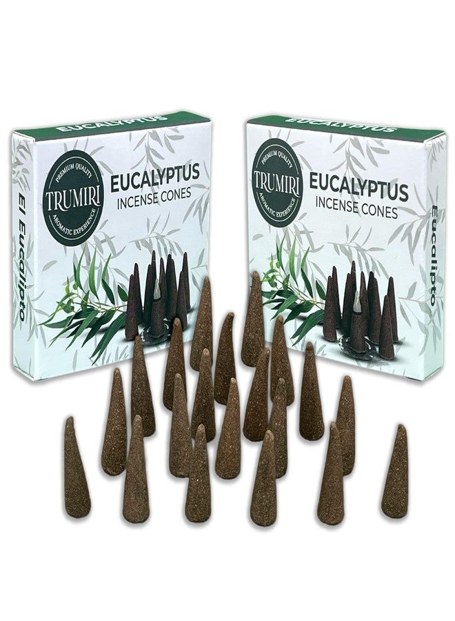 TRUMIRI Eucalyptus Incense Cones - Total 20 Cone Incense - Dual Pack of 10 Insence Cones - Incense Cones Scented - Cone Incense Scents - Insense Cones - Incent Cone - Image 1