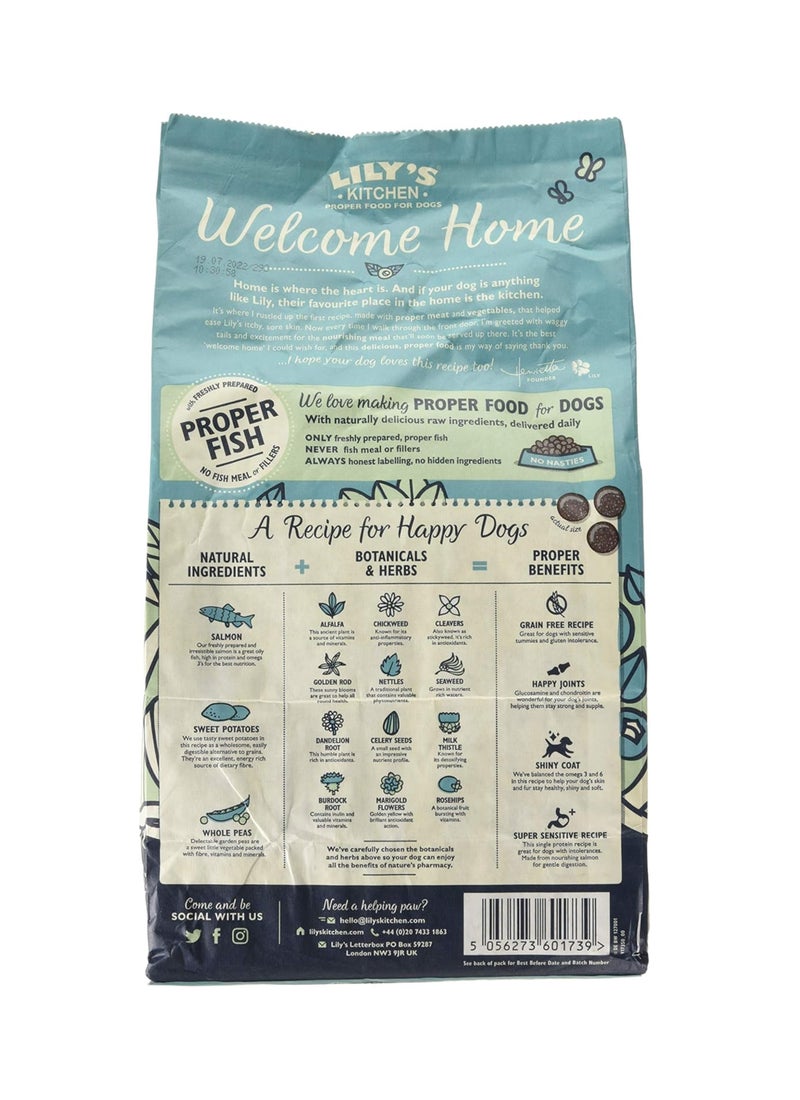 Lily's Kitchen Salmon Supper Adult Dog Dry Food - Image 2