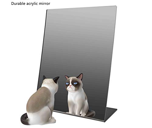 Marketing Holders Freestanding Acrylic Mirror 12" x 18" Slant Back Reflective Portable Lucite Stand for Retail Jewelry Piercing Counters Makeup Vanities and Hair Salons - Image 5