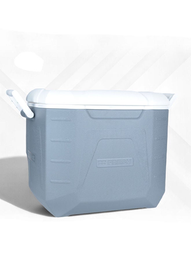 فريش صندوق تبريد بمقبض سعة 48 لتر رمادي/أبيض - Image 1