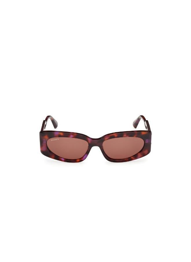MAXCO - Wayfarers Sunglasses - Image 1