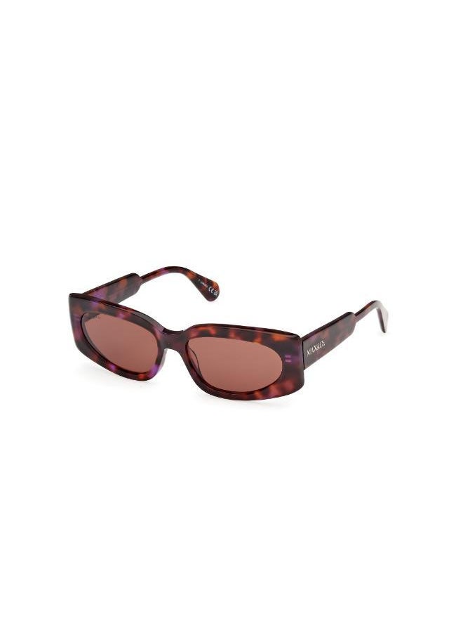 MAXCO - Wayfarers Sunglasses - Image 1
