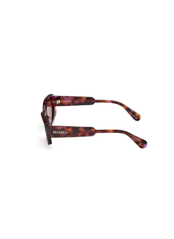 MAXCO - Wayfarers Sunglasses - Image 1