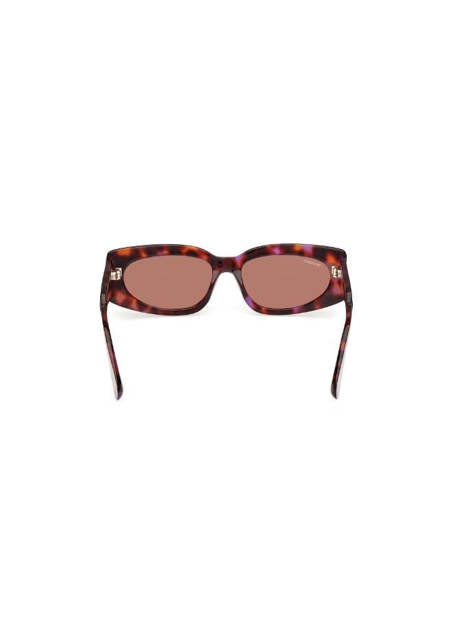 MAXCO - Wayfarers Sunglasses - Image 1