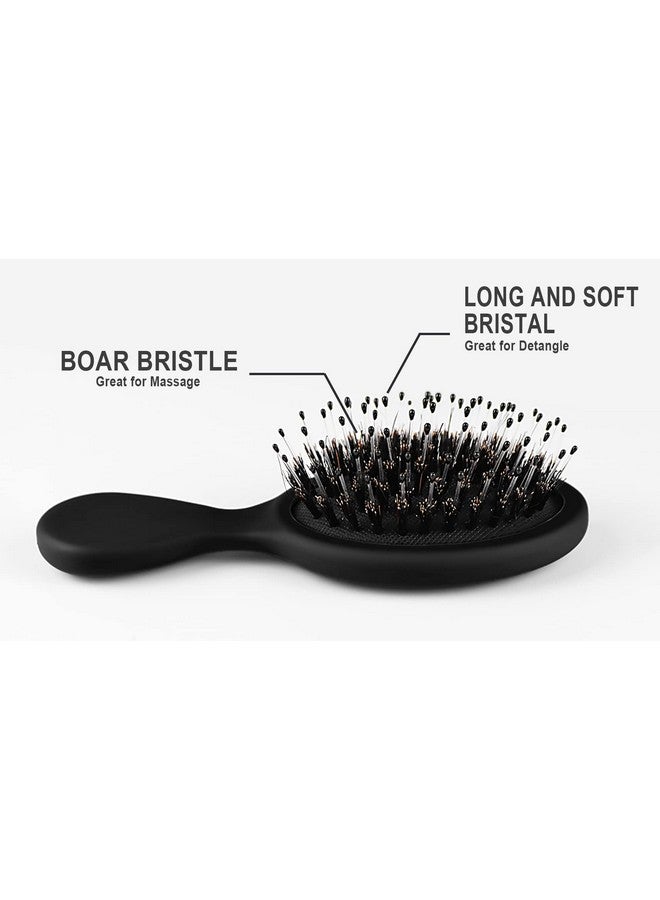 اتش كيو اس ال سوند مجموعة فرشاة من شعيرات الخنزير والنايلون، مغلفة بشكل فردي - تضيف لمعانًا، وتعزز نمو الشعر، وتدليك فروة الرأس، وفك التشابك لجميع أنواع الشعر (وصلات الشعر، والشعر المستعار)، 5 ألوان - Image 4