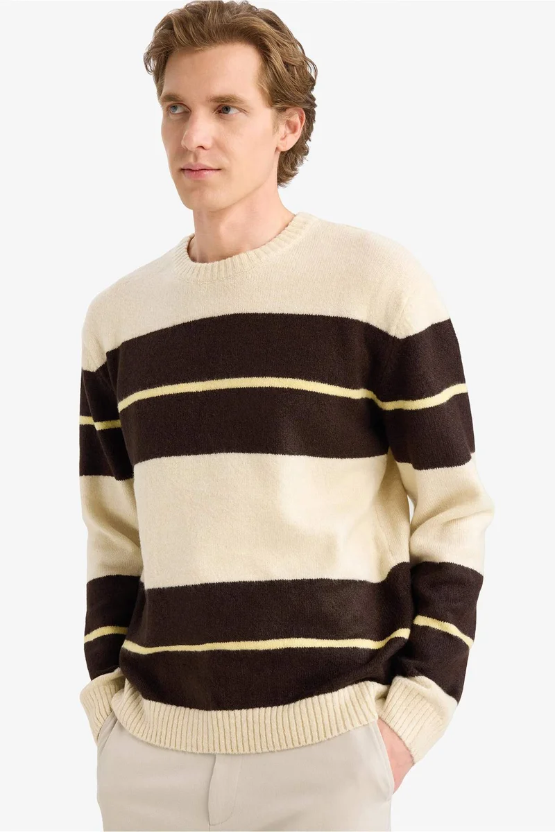 ديفاكتو Standard Fit Knitwear Pullover