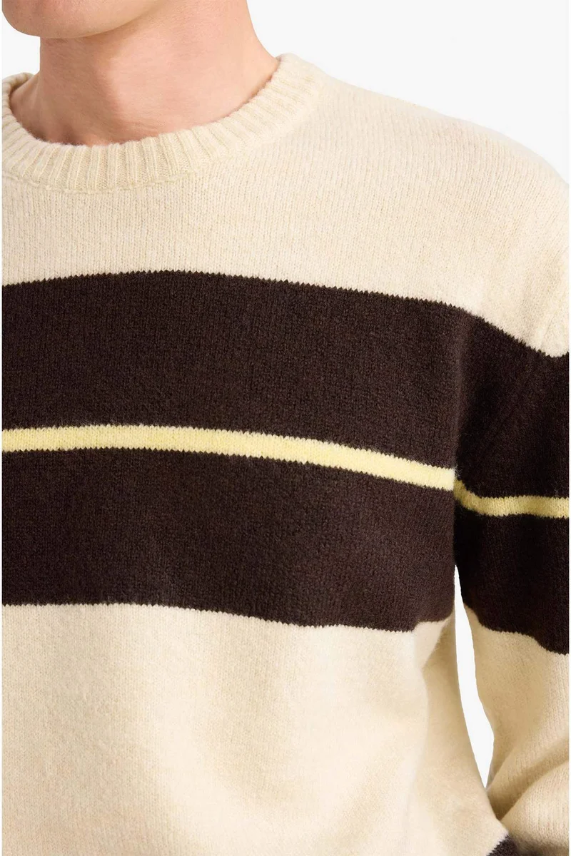 Defacto  Standard Fit Knitwear Pullover for Men | Best Price UAE