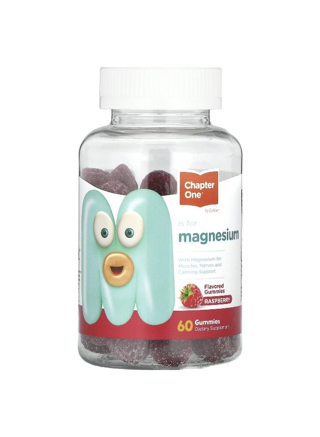 Chapter One Chapter One, Magnesium Gummies, Raspberry, 100 mg, 60 Gummies (50 mg per Gummy)  - Image 1