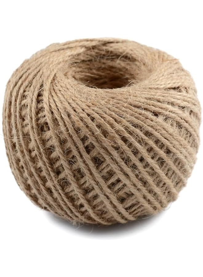 The Bros Jute Twine String 2mm, 100M Natural Jute Rope, 2Ply Durable Jute Twine Heavy Duty For Crafts, Gift Wrapping, Gardening, Packing, Picture Display, Wedding, Christmas Decoration, Ornament - Image 1