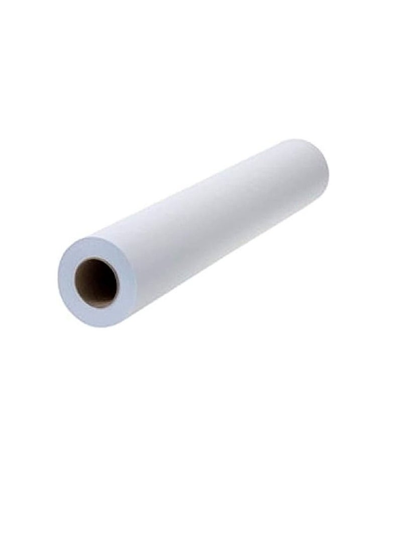 TERABYTE PLOTTER PAPER ROLL 841MM X 50YRD 2CORE - Image 1