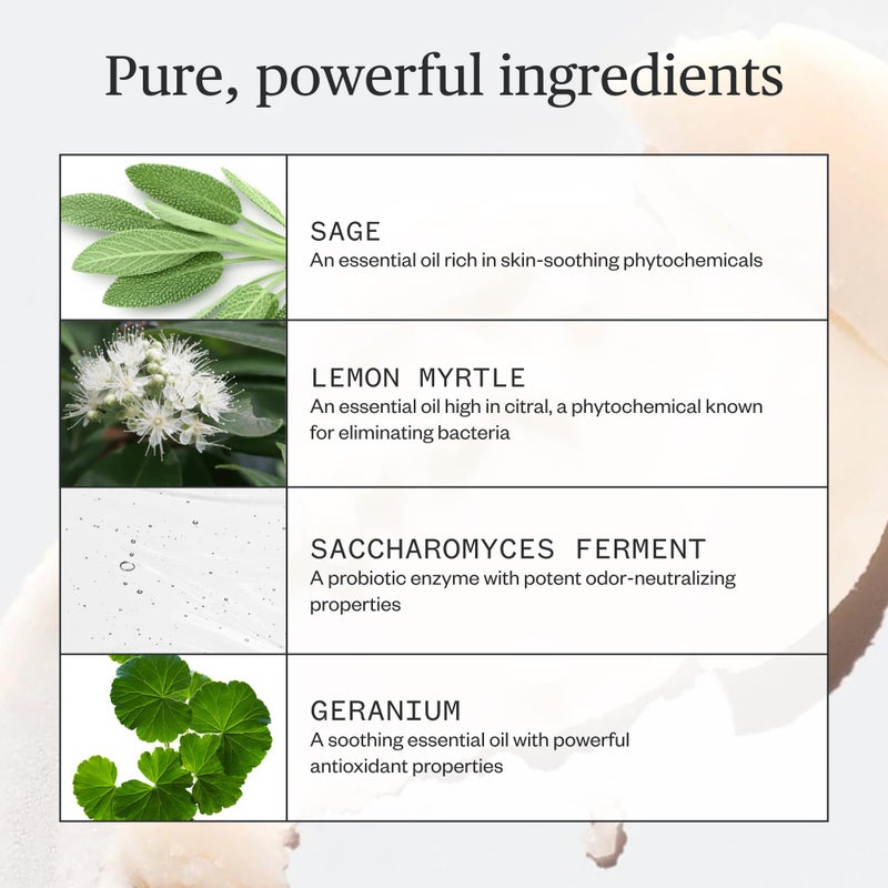 Ursa Major Forest Fix Spray Deodorant | Formerly Known As Sublime Sage | Aluminum-Free & Baking-Soda Free | Vegan, Cruelty-free, Non-Staining | 1.79 ounces - Image 2