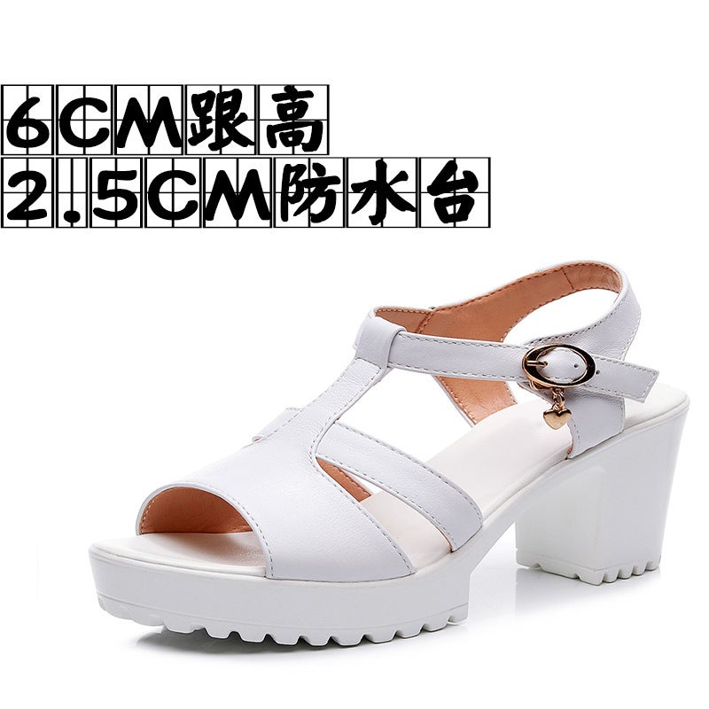 Cowhide Model Catwalk High-Heeled Sandals For Women, New Summer Waterproof Platform Thick-Soled Fashion Women'S Shoes, Chunky Heel Large Size Sandals - Image 1