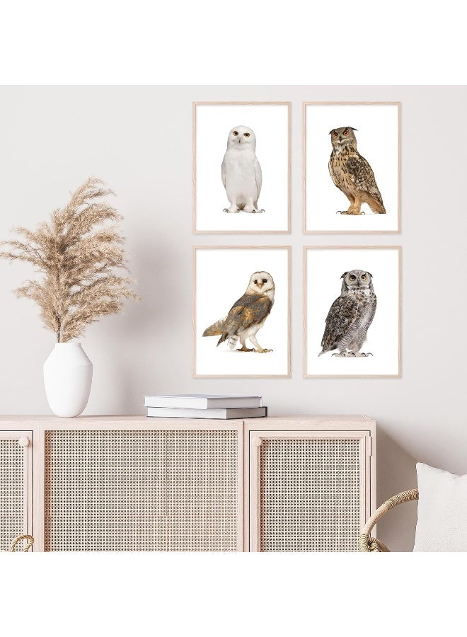 Insire Owl Wall Art Owl Wall Decor - Set of 4 (8x10) - Image 3