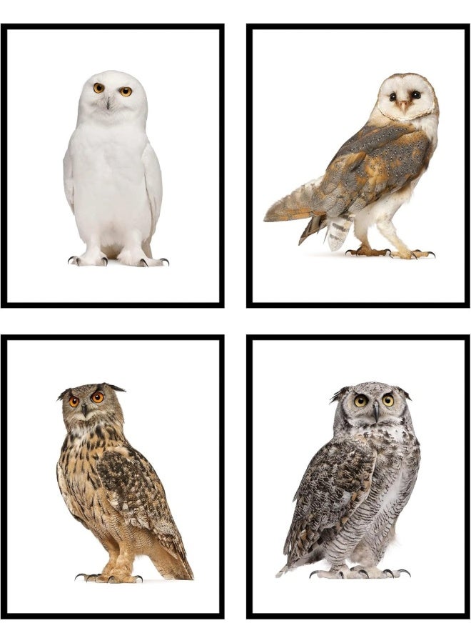Insire Owl Wall Art Owl Wall Decor - Set of 4 (8x10) - Image 1